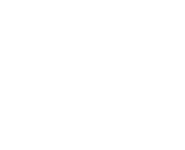 Silva Salakian Fine Jewelry